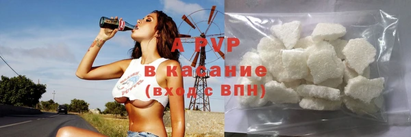 ECSTASY Алзамай