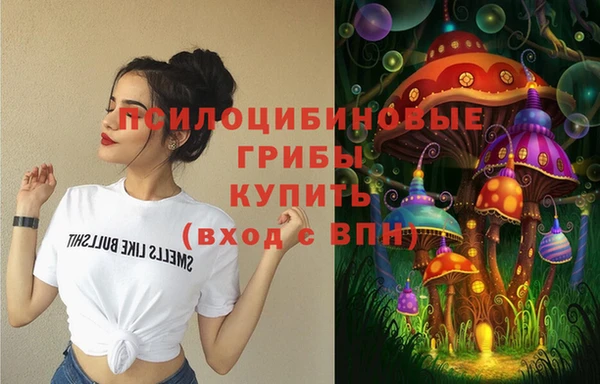ECSTASY Алзамай
