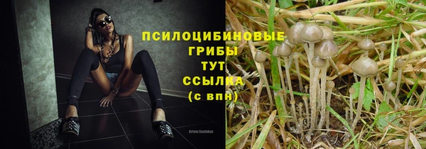 гашик Алексеевка