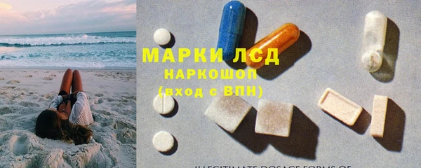 гашик Алексеевка