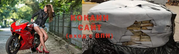 ECSTASY Алзамай