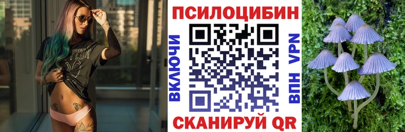 Галлюциногенные грибы Psilocybine cubensis  дарк нет формула  Грязовец 